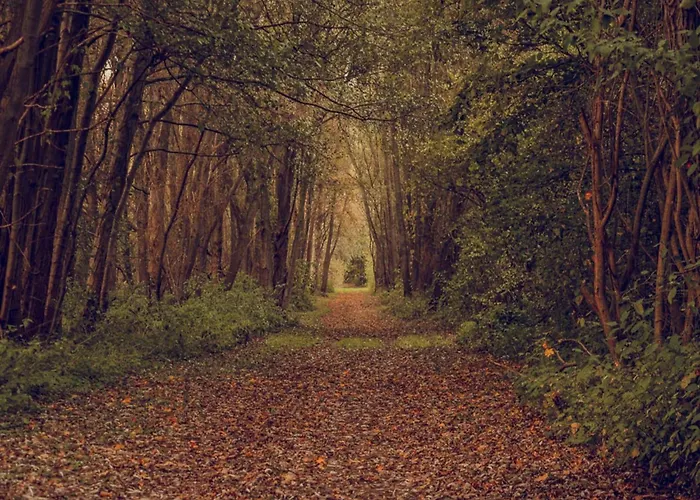 公寓 Weitblick In *